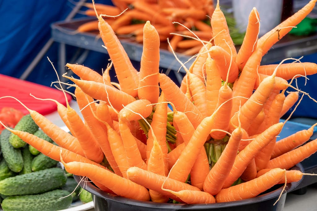 Fresh carrots in a basket, a key source of Beta-carotene for Nutrition for Healthy Eyes.