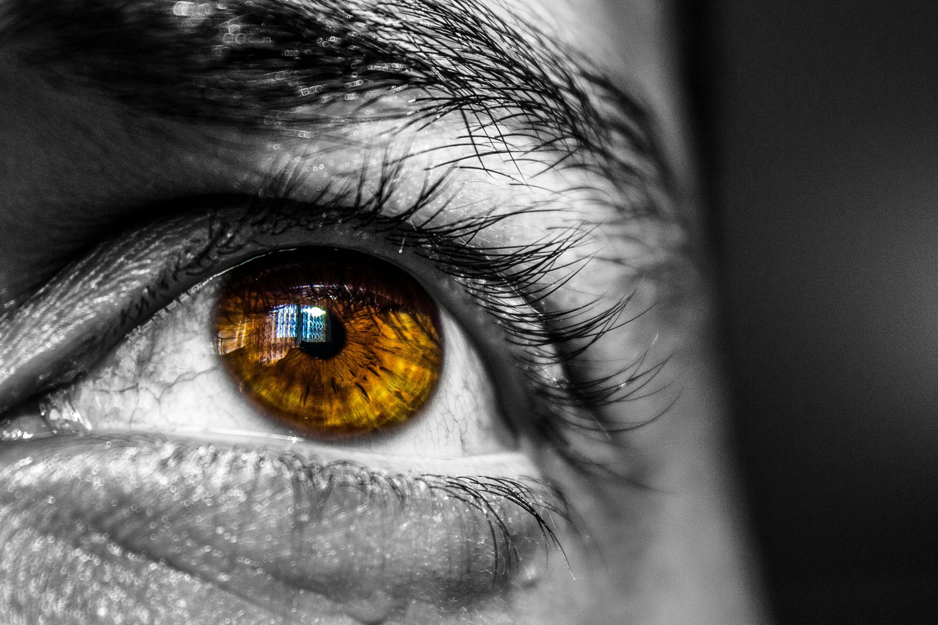 Macro close-up of an eye illustrating vision biohacking and eye health